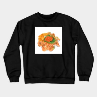Salmon Roe Crewneck Sweatshirt